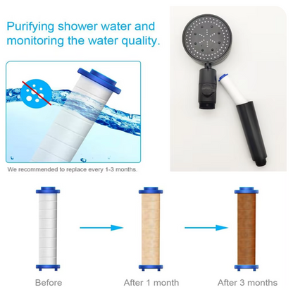 Filtered Shower Head